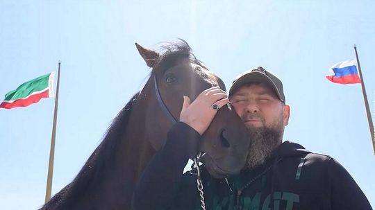 Zajatcov za koňa. Kadyrov ponúka Američanom bizarnú výmenu