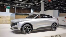 NamX HUV Concept - 2024