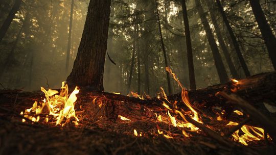 Na východe Španielska vyčíňa v dôsledku teplého počasia lesný požiar