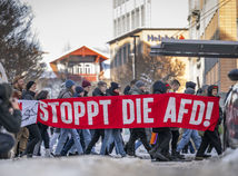 Extremismus / AfD / Protest / Demonstration /