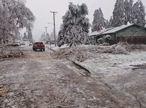 Zima / Sneh / Creswell /