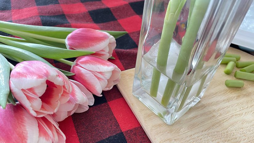 Do vázy s tulipánmi nalejte len 3-4 cm studenej...