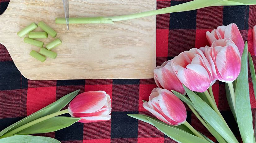 Stonky tulipánov treba rezať rovno, nie šikmo.
