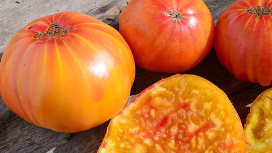 ‘Ananas’ je klasikou medzi krajovými, teda...