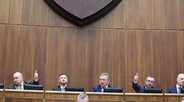 novela Trestného zákona, parlament