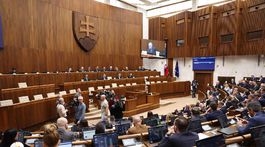 novela Trestného zákona, parlament