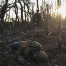Ruský vojak, vojna na Ukrajine, mŕtvy vojak, Andriivka