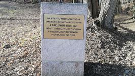 masový hrob, Kremnička
