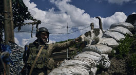 Ukrajinský vojak, bojová mačka, vojna na Ukrajine