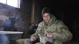 vojna na Ukrajine, mačka, vojak, ľudové milície