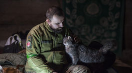 vojna na Ukrajine, mačka, vojak