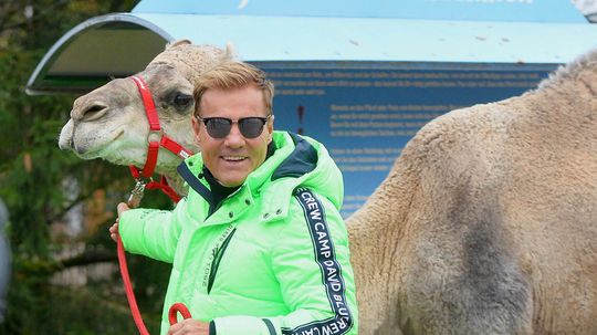 Dieter Bohlen v roku 2019 na otvorení...