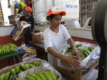 Ecuador Bananas