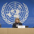 OSN, výbor pre práva dieťaťa, Philip Jaffe, Ann...