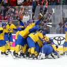 Ukrajina hokej reprezentácia