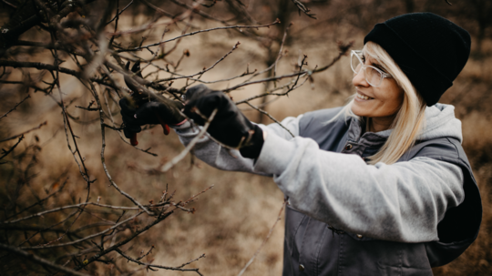 žena, ovocný sad, ovocný strom, rez, zimný rez
