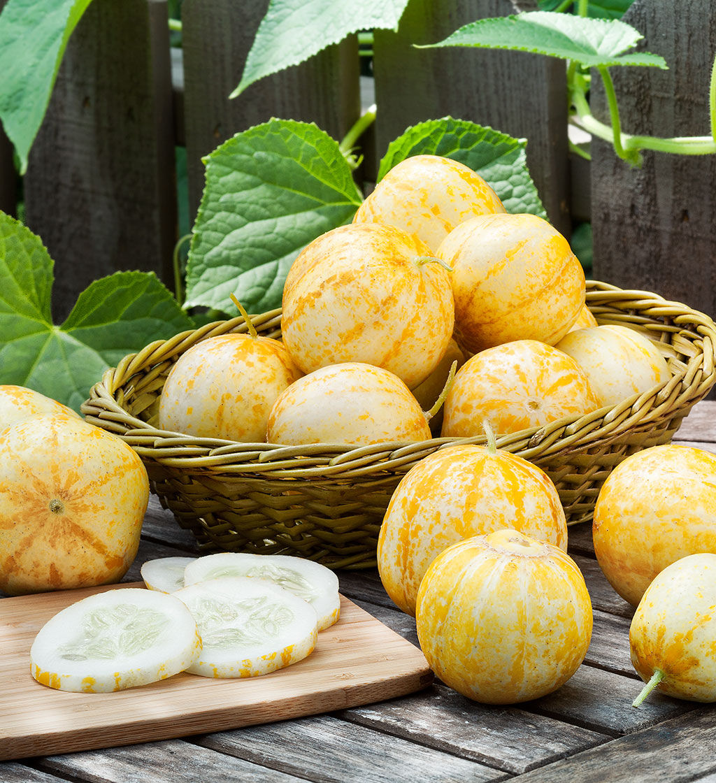 ‘Lemon Cucumber’ je nielen žltá, ale vôňou tiež...