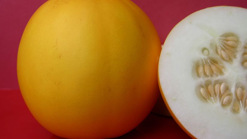 Šupka ‘Yellow Ball’ je výrazne žltá, dužina...