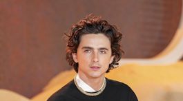 Timothee Chalamet