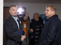 Peter Žiga, Štefan Žiga