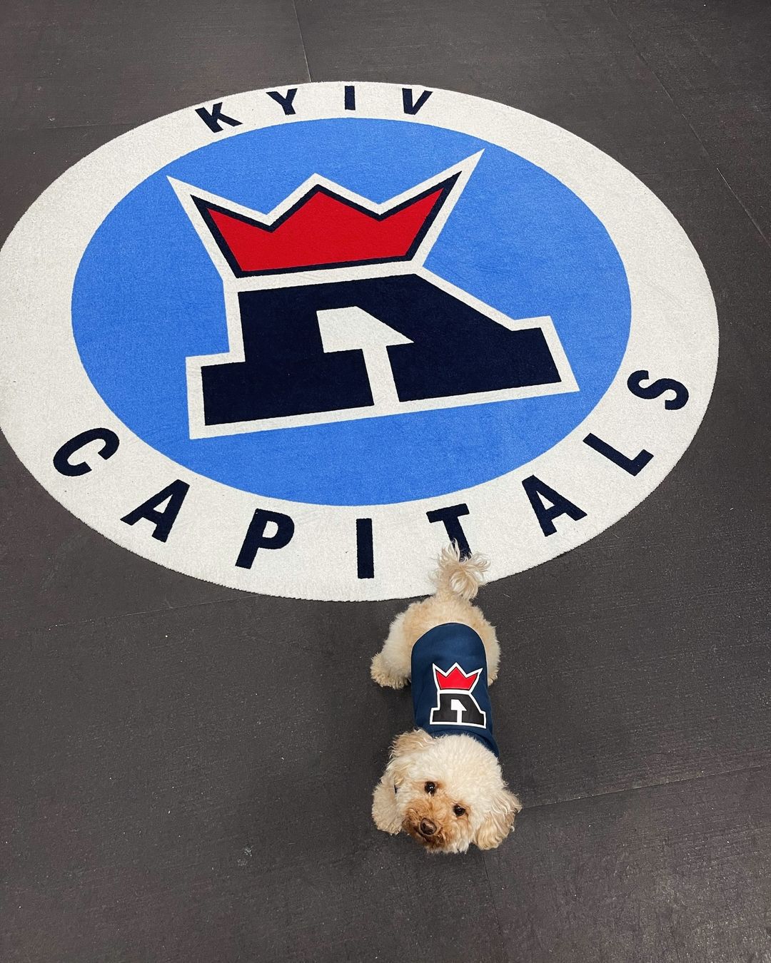 Štvornohý miláčik Borisa Babíka robí v Kyjeve...