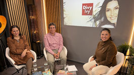 Divy Ivy, Solčanská