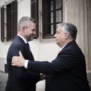 Pellegrini, Orbán
