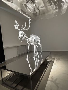 Matt Collishaw: Insilico