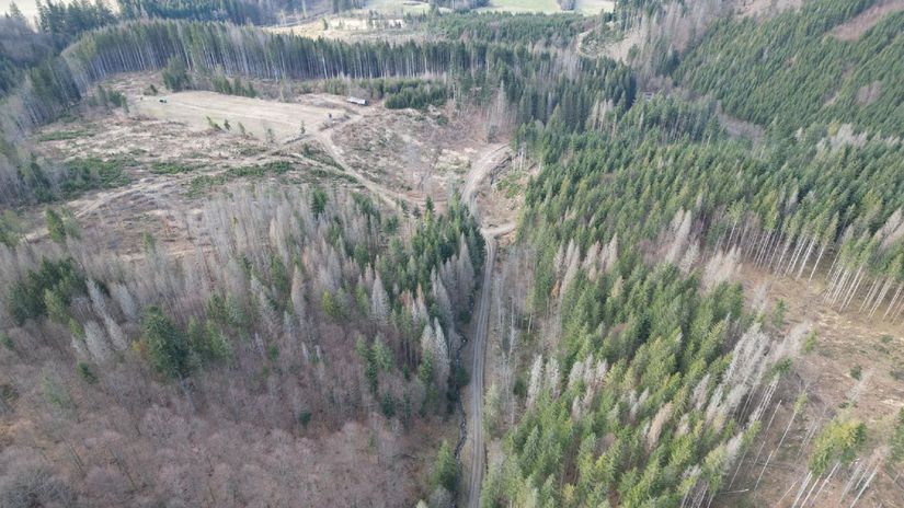 Kalamitu na Horehroní spôsobil lykožrút.