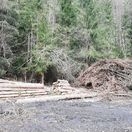 kalamita, lykožrút, Čierny Balog
