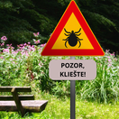 kliešť, kliešte
