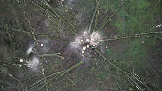 Pohľad zvýšky na orez na hlavu.