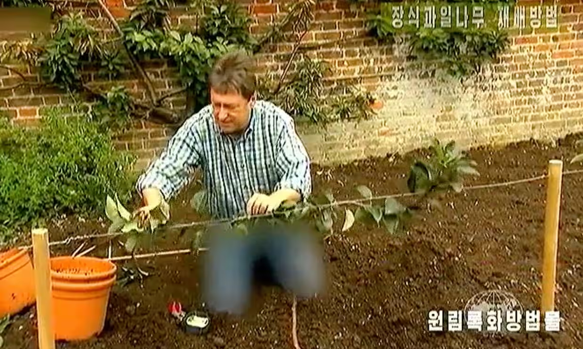 BBC Tajomné záhrady