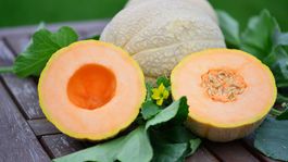 melón cukrový, Charentais