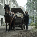 walking dead, daryl dixon,