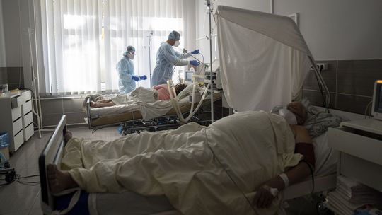 Prípadov čierneho kašľa v Česku pribúda, infikovaných evidujú takmer 6 400 ľudí