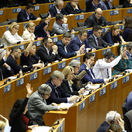 europoslanci, EP, europarlament