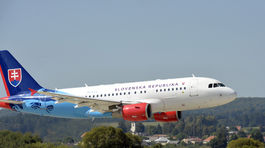 Airbus Goverment