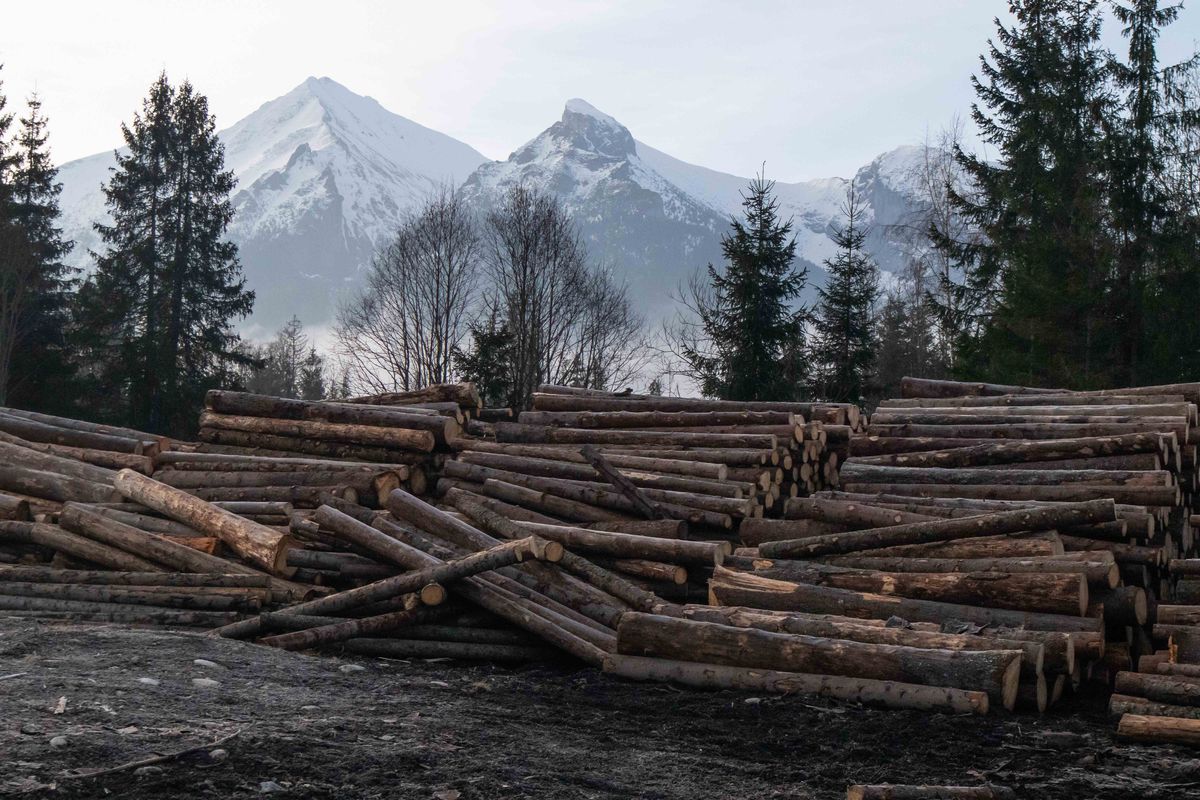 Premenia sa Tatry na lesný závod a rezervácie...