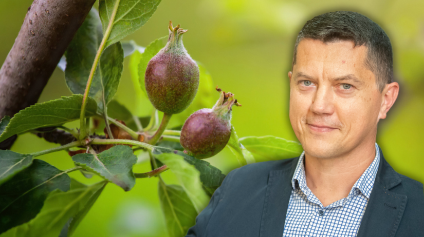 Peter Molda, ovocinár
