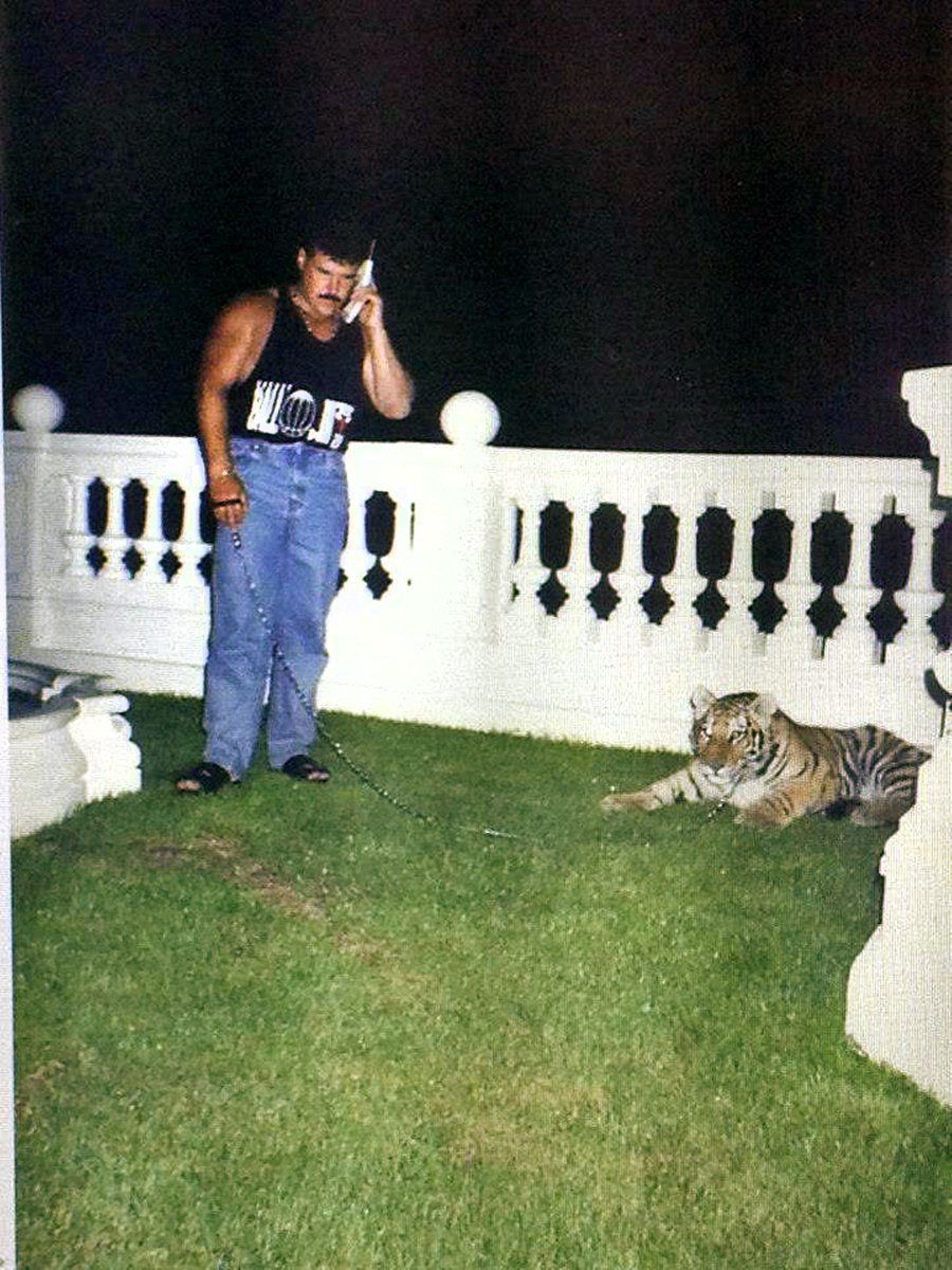 Mikuláš Černák a jeho tigre.
