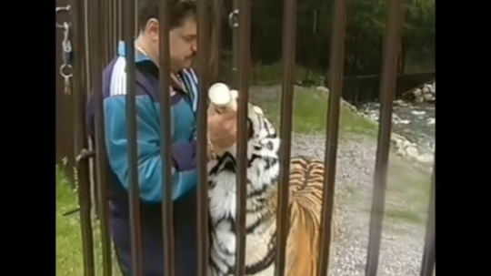 Mikuláš Černák a jeho tigre.