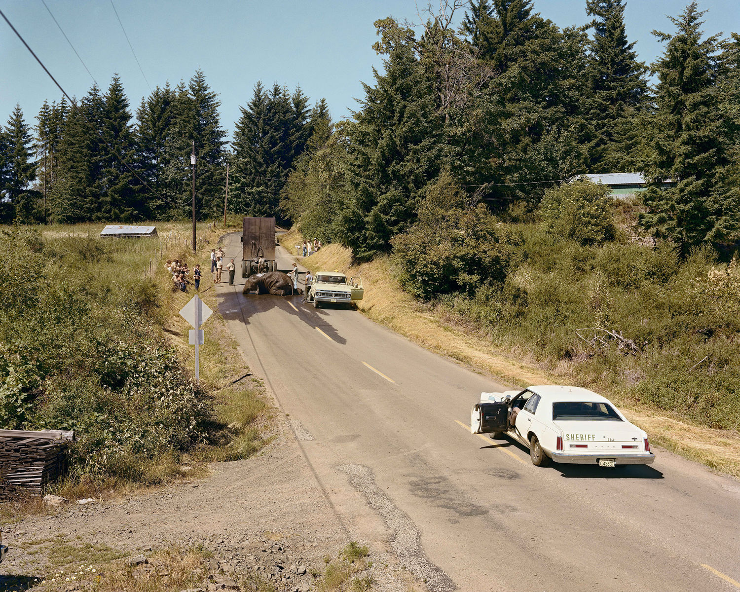 Vyčerpaný slon, Woodland, Washington, jún 1979