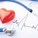 srdce, EKG, rytmus srdca, srdcový tep