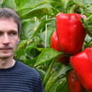 paprika, Peter Gajdoštin