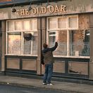 Stary dub Old-Oak