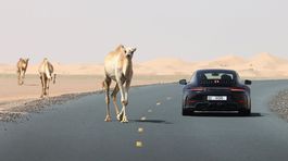 Porsche 911 Hybrid - 2024