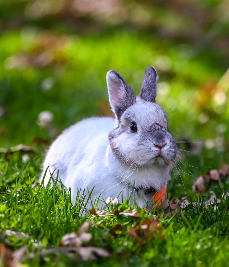 Produkty vyrobené v EÚ sa nesmú testovať na...