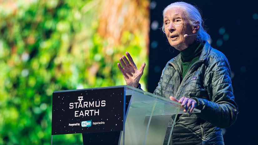 Jane Goodall