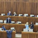 nr sr, parlament atentát, fico